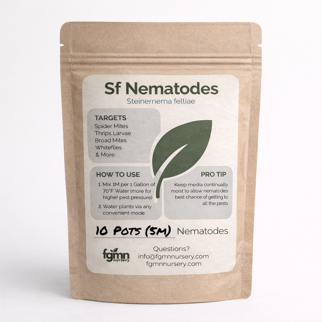 Sf Nematodes