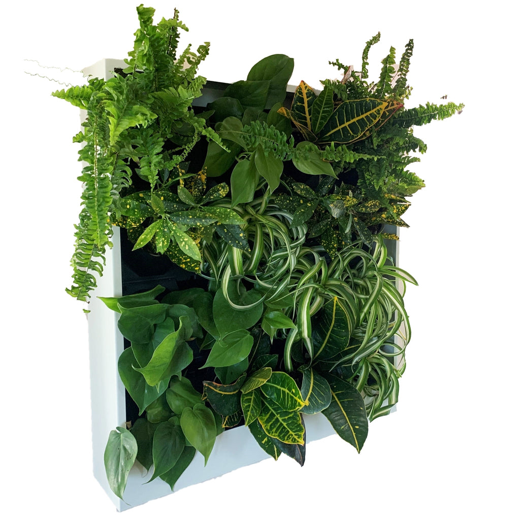 Vertical Plant Wall Planter – 25"