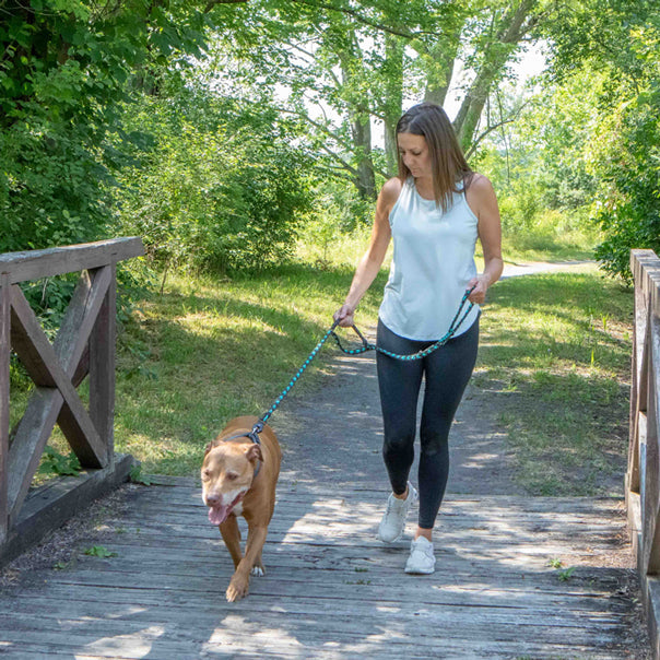The Handcrafted Forever Leash for Strong Pulling Pups