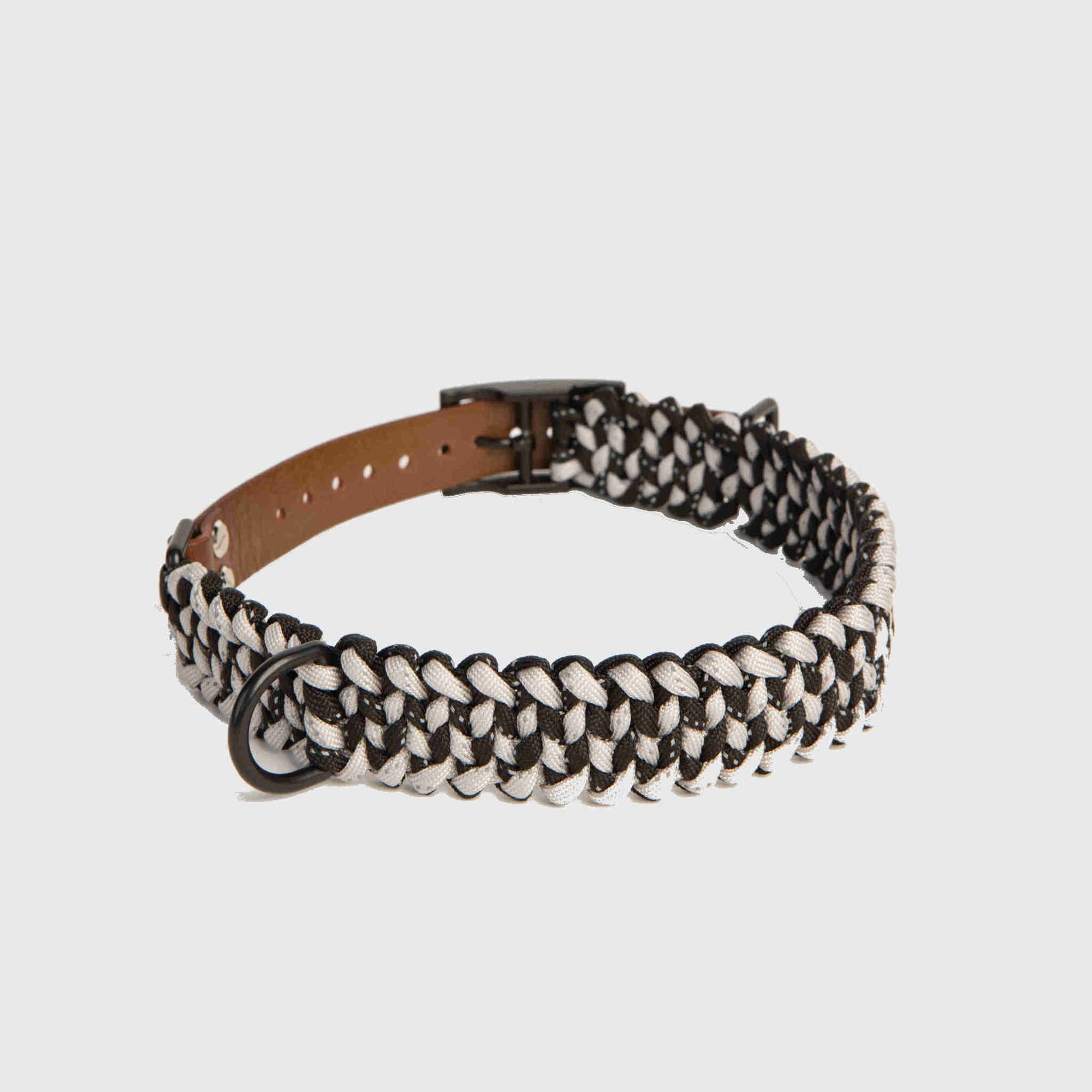 Forever Dog Collar