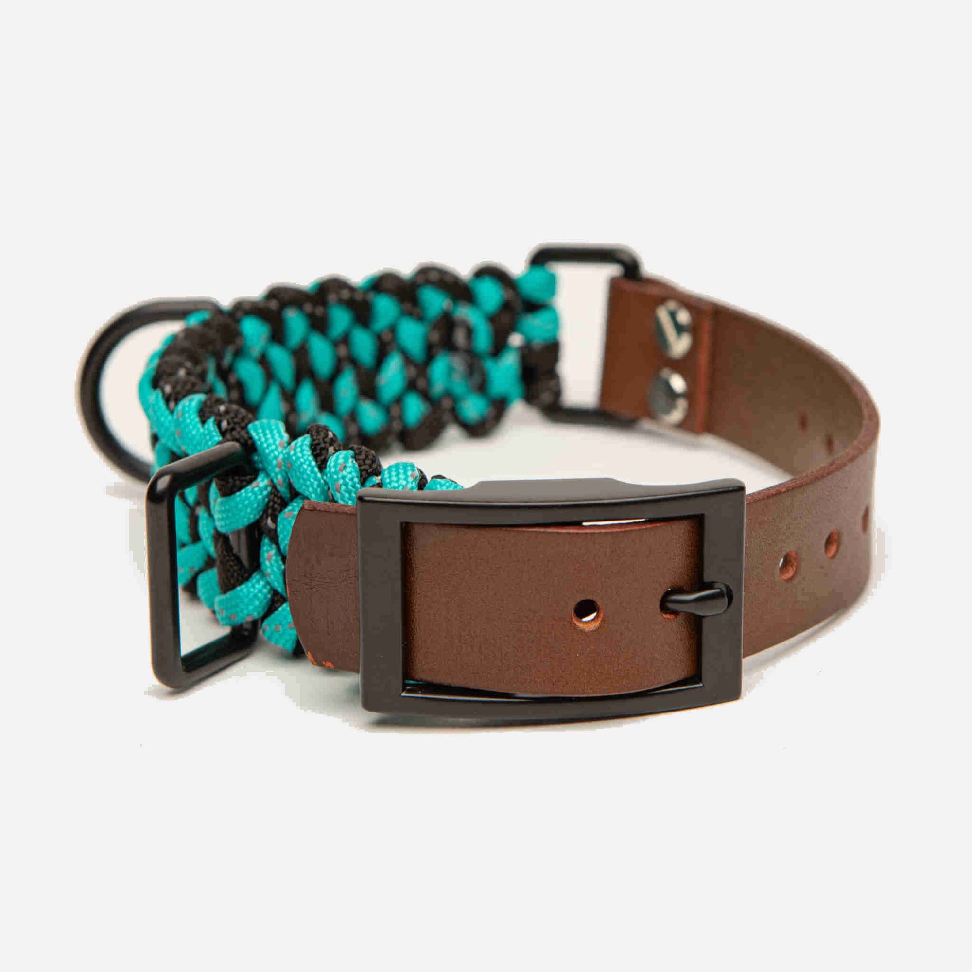 Forever Dog Collar