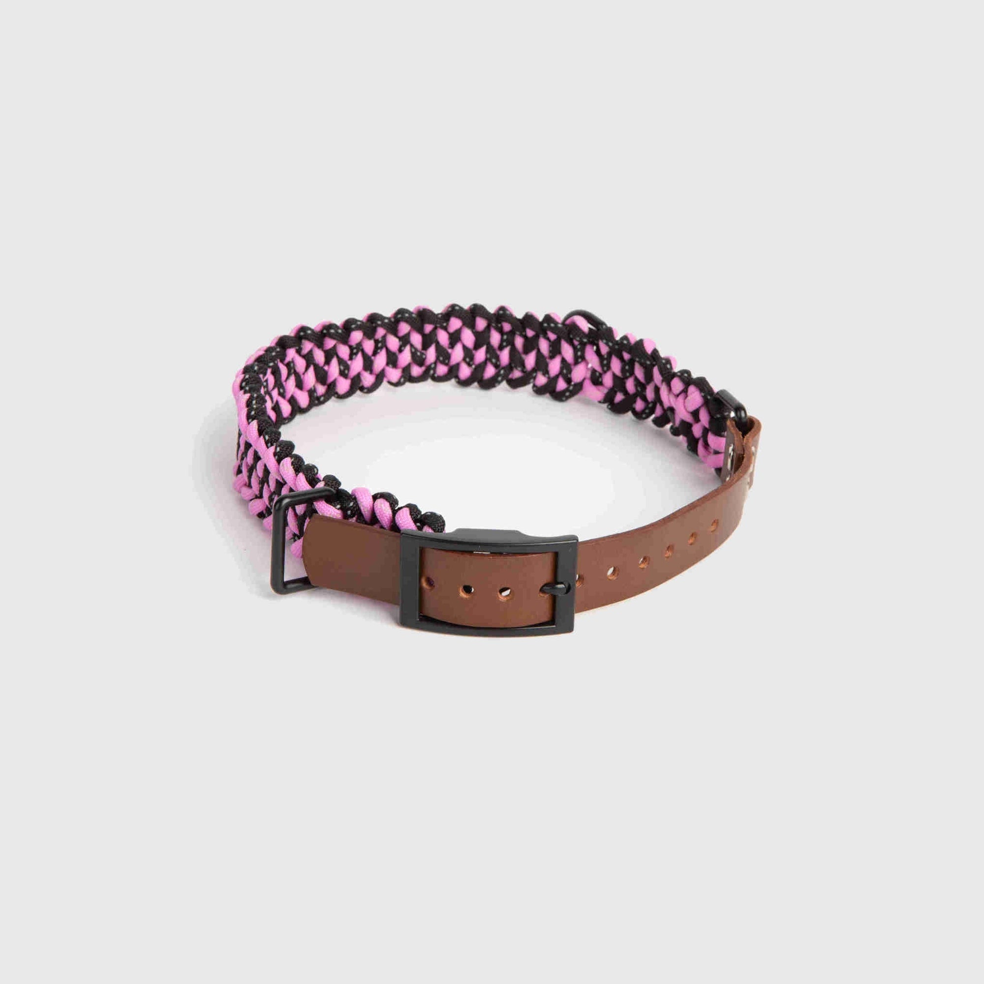 Forever Dog Collar