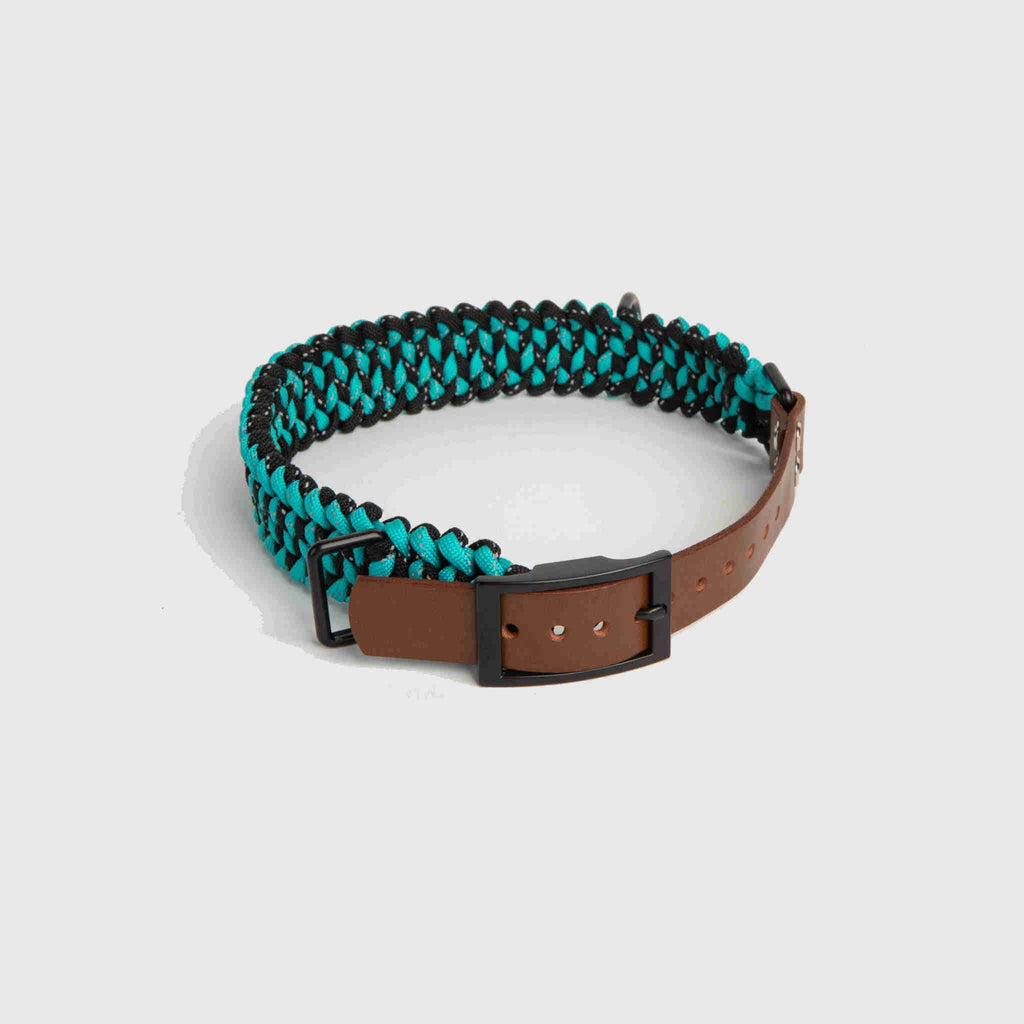 Forever Dog Collar
