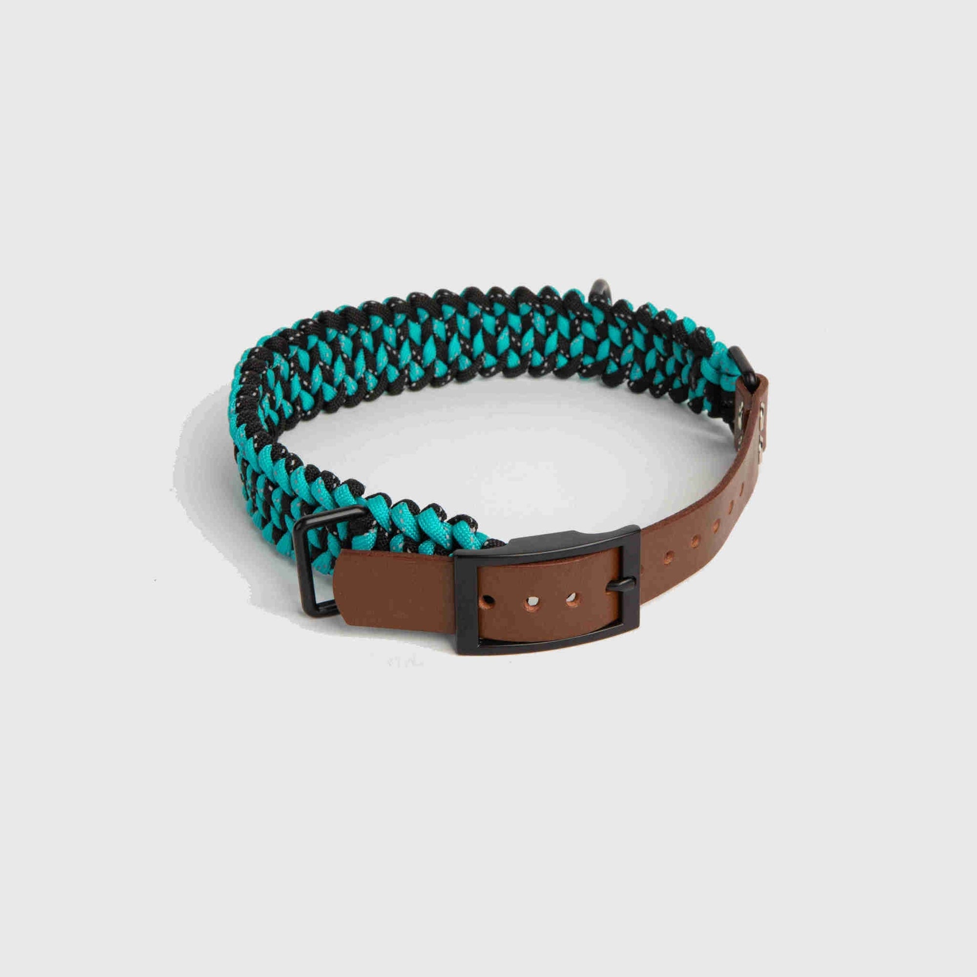 Forever Dog Collar