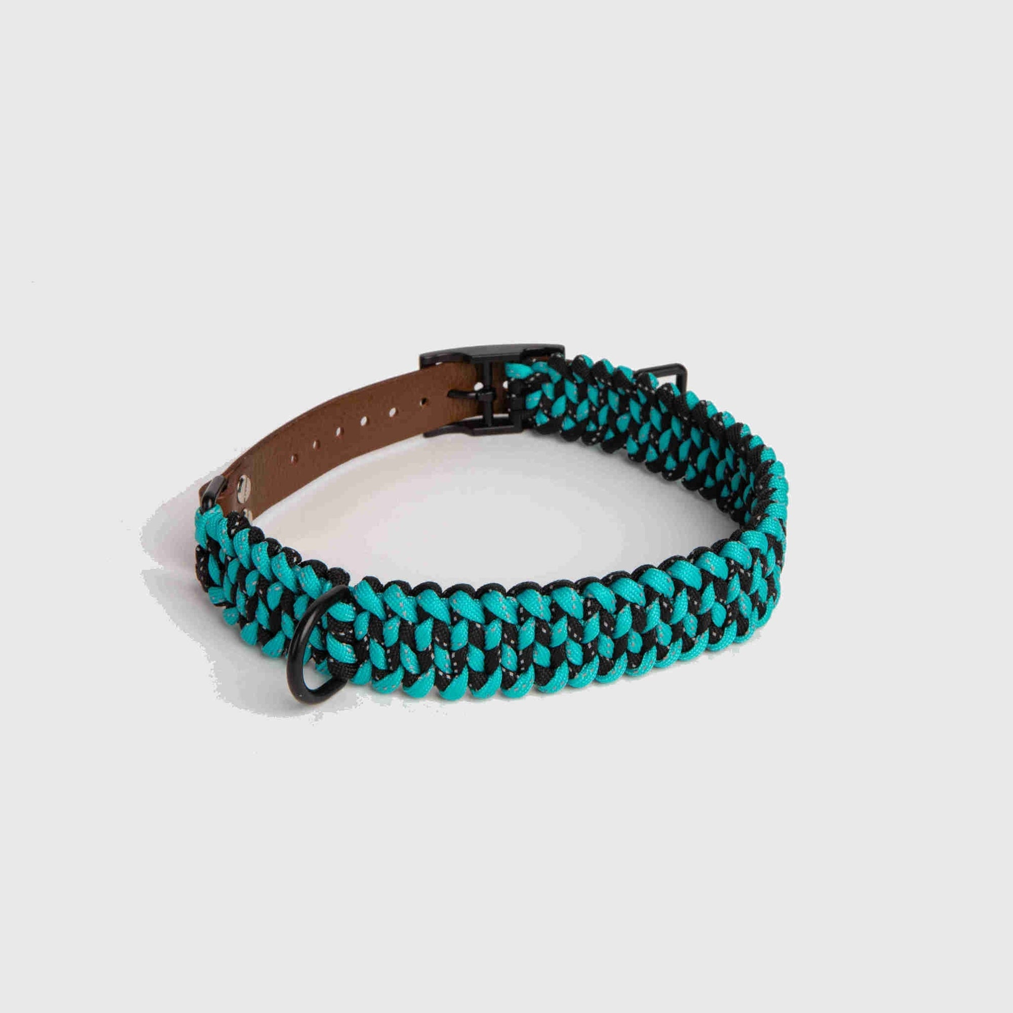 Forever Dog Collar
