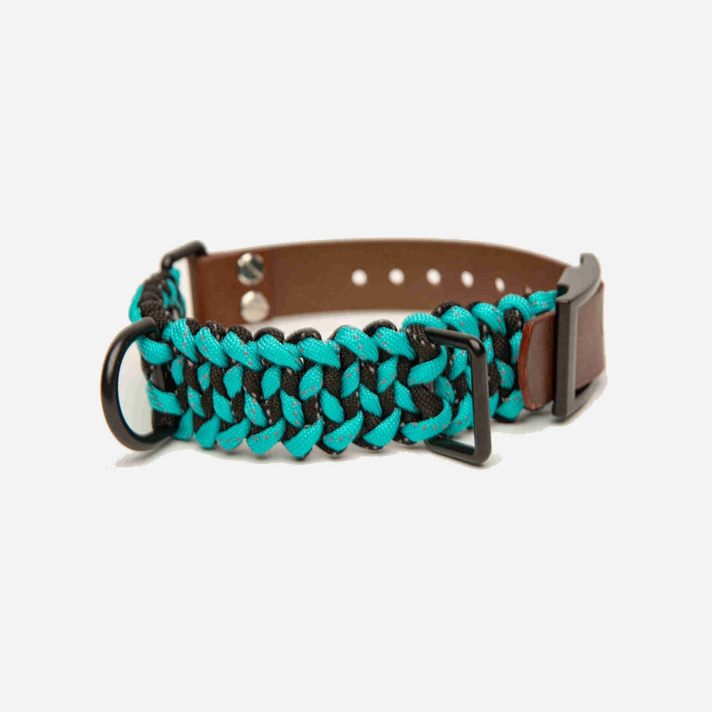 Forever Dog Collar
