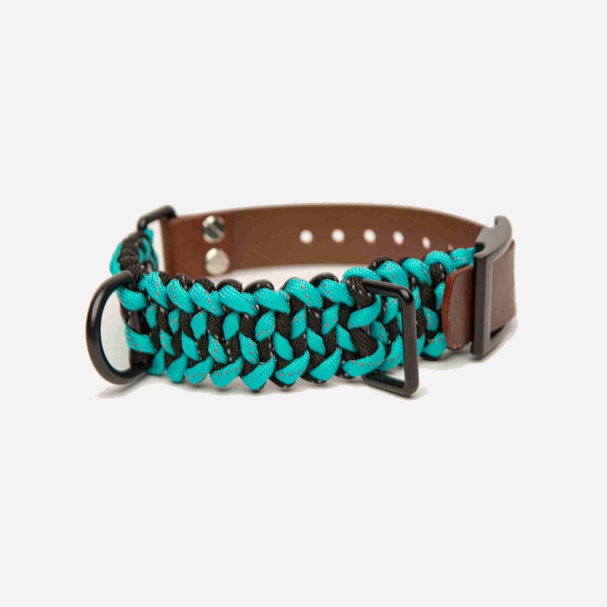 Forever Dog Collar