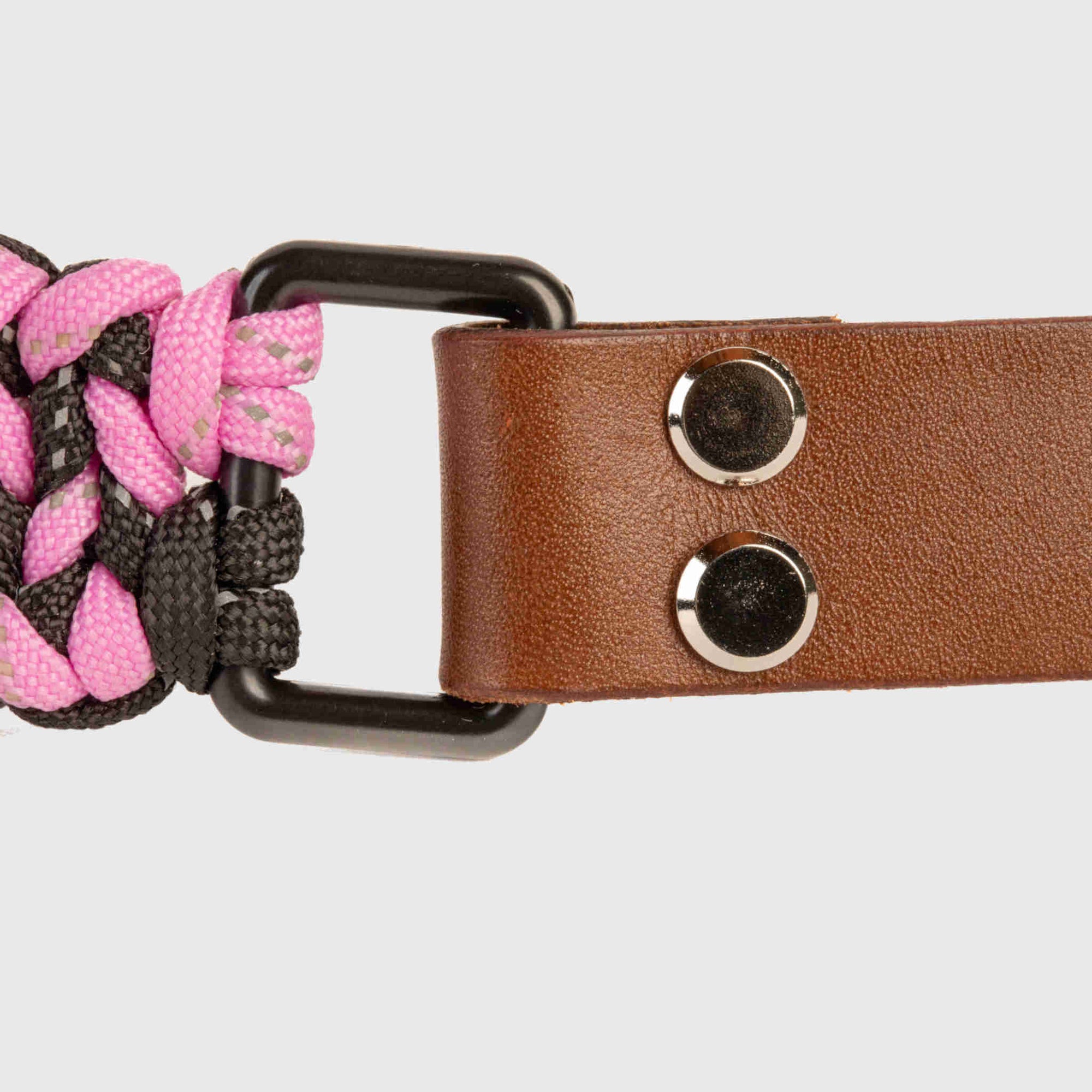 Forever Dog Collar