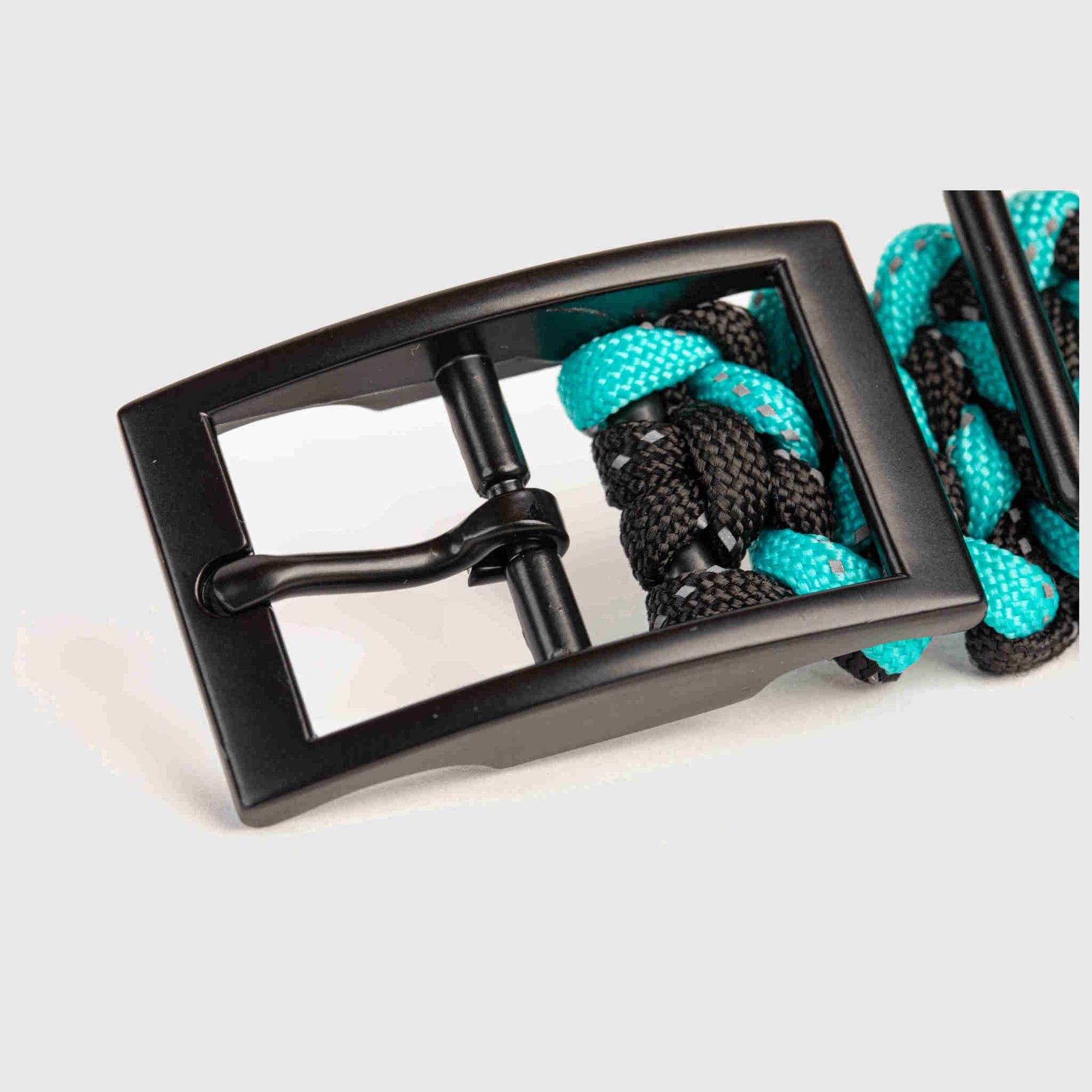 Forever Dog Collar