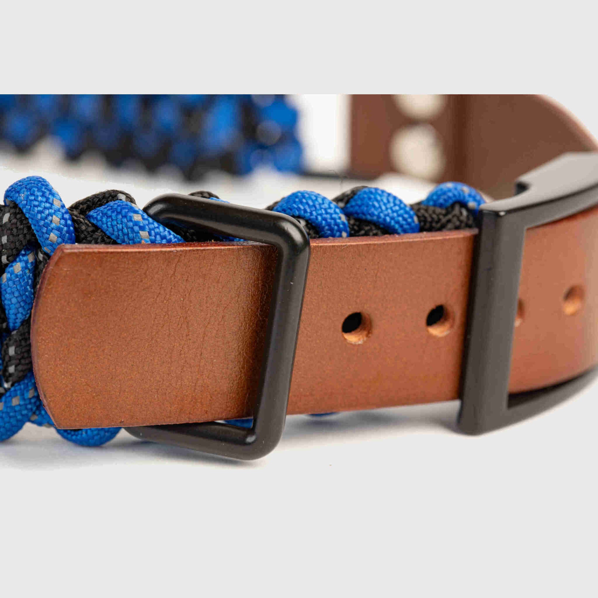 Forever Dog Collar
