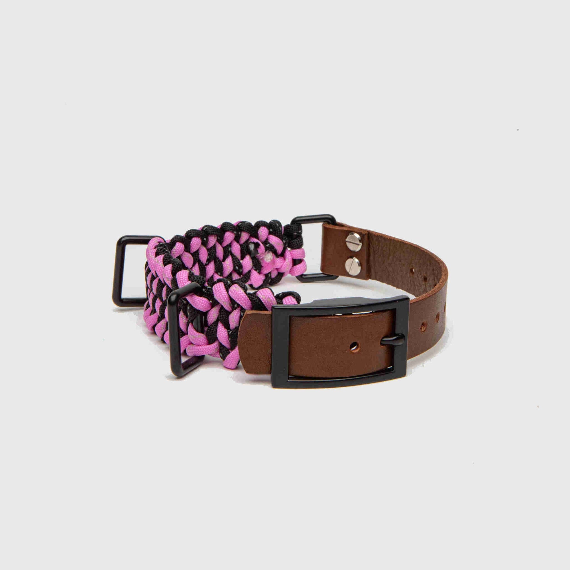 Forever Dog Collar