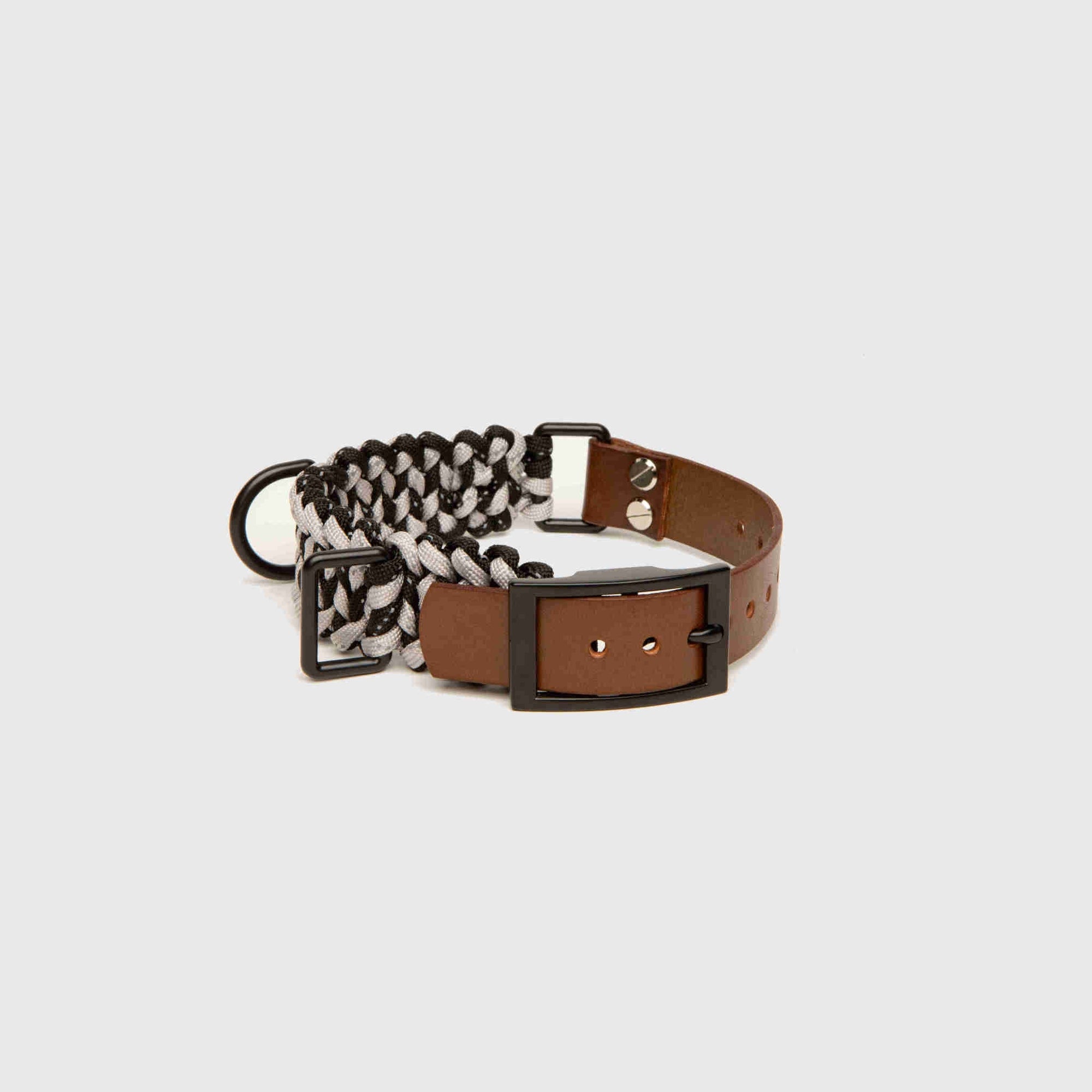 Forever Dog Collar