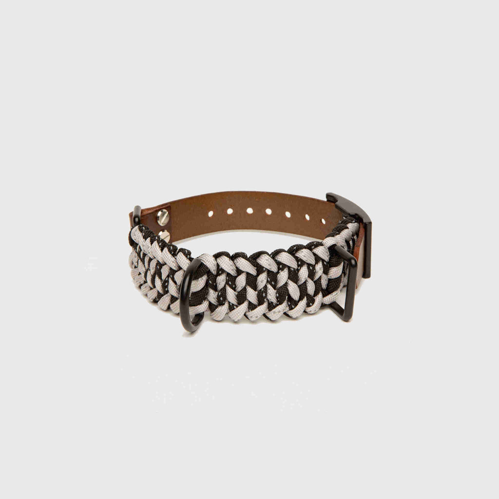 Forever Dog Collar