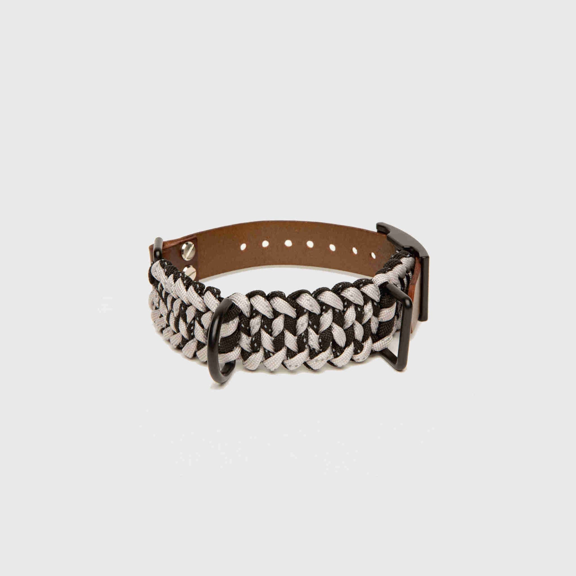 Forever Dog Collar