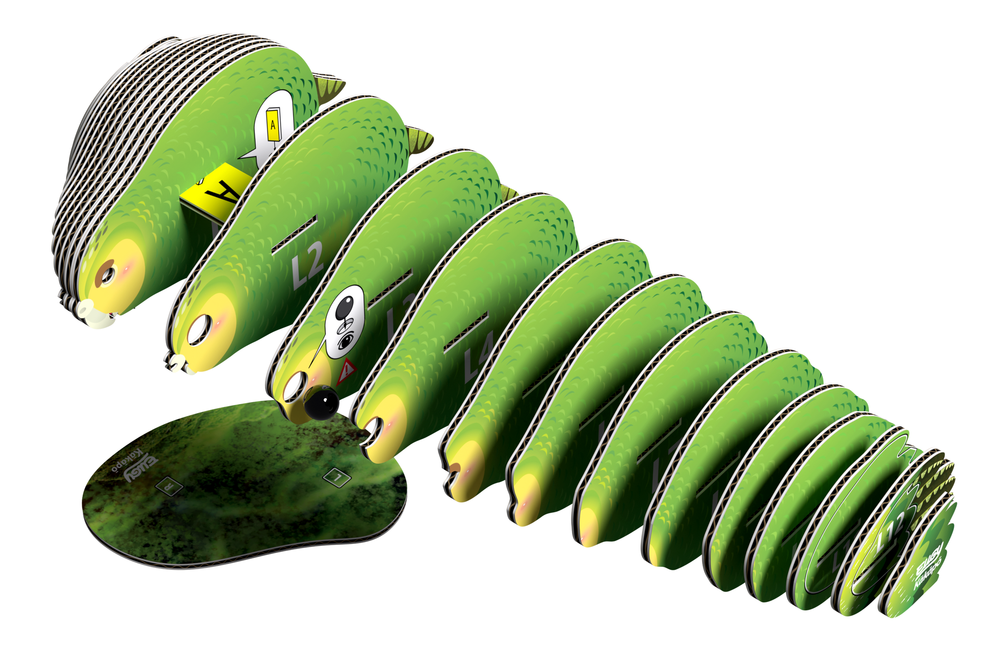 EUGY Kakapo 3D Puzzle-3