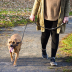 The Handcrafted Forever Leash for Strong Pulling Pups