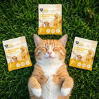 Yak Cheese Squeeze Natural Training Treat + Meal Topper for Dogs + Cats