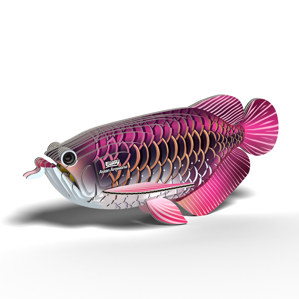 EUGY Asian Arowana 3D Puzzle-4